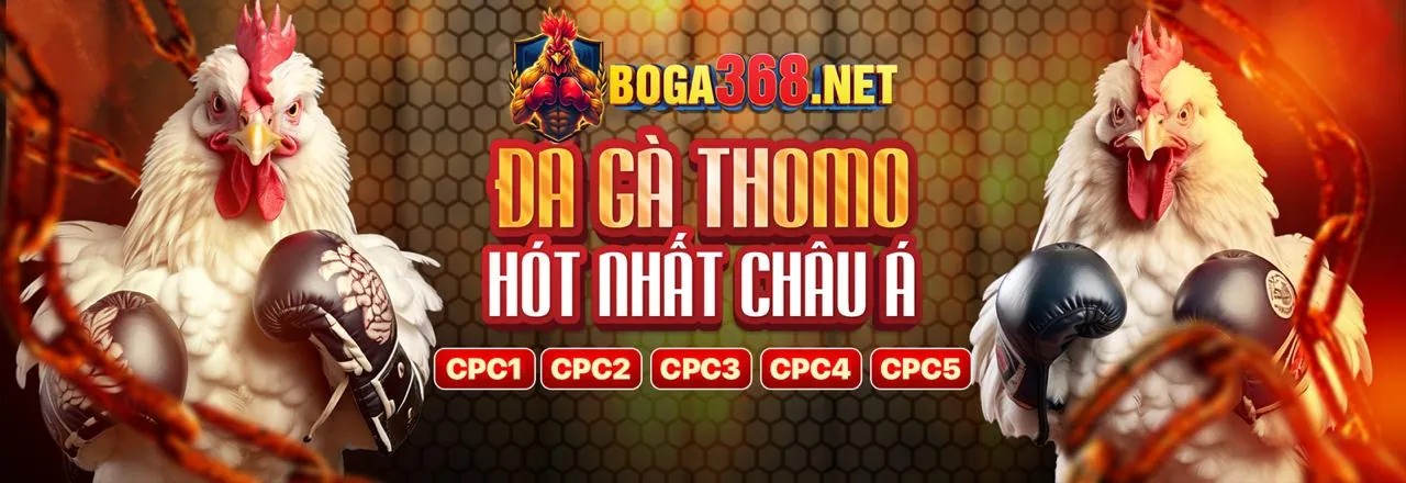 G7Win Đá Gà Trực Tiếp